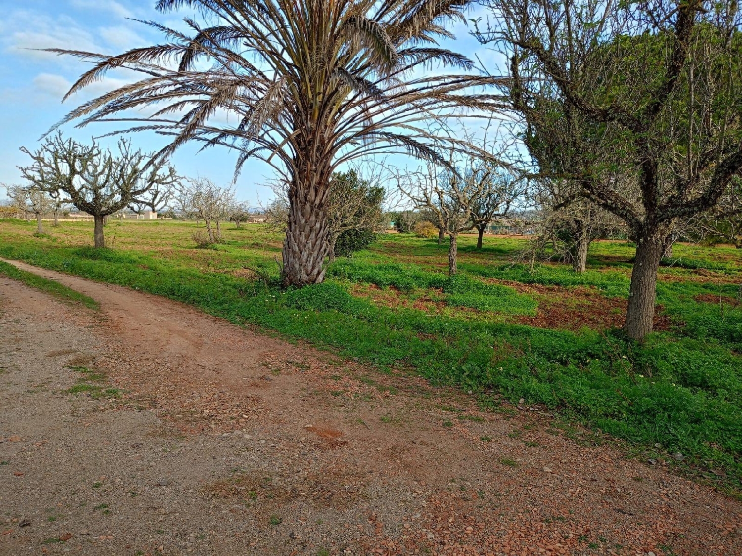  en venta casa Felanitx Sud 3