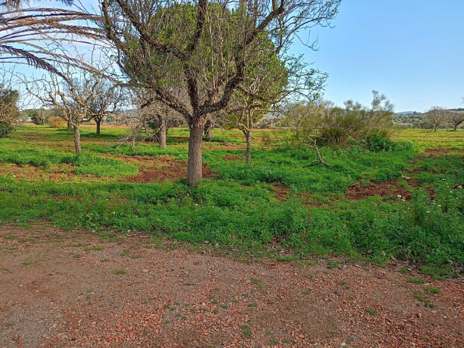  en venta casa Felanitx Sud 2