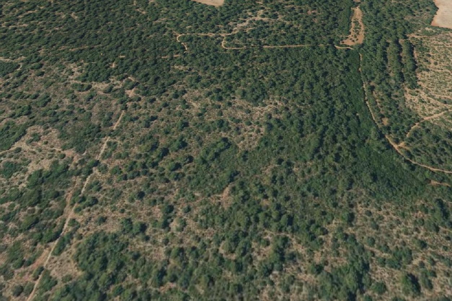  till salu hus Cala Romàntica Llevant 7