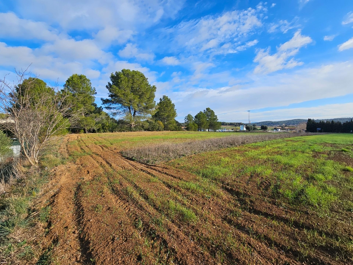 till salu hus Camallera Alt Empordà 3