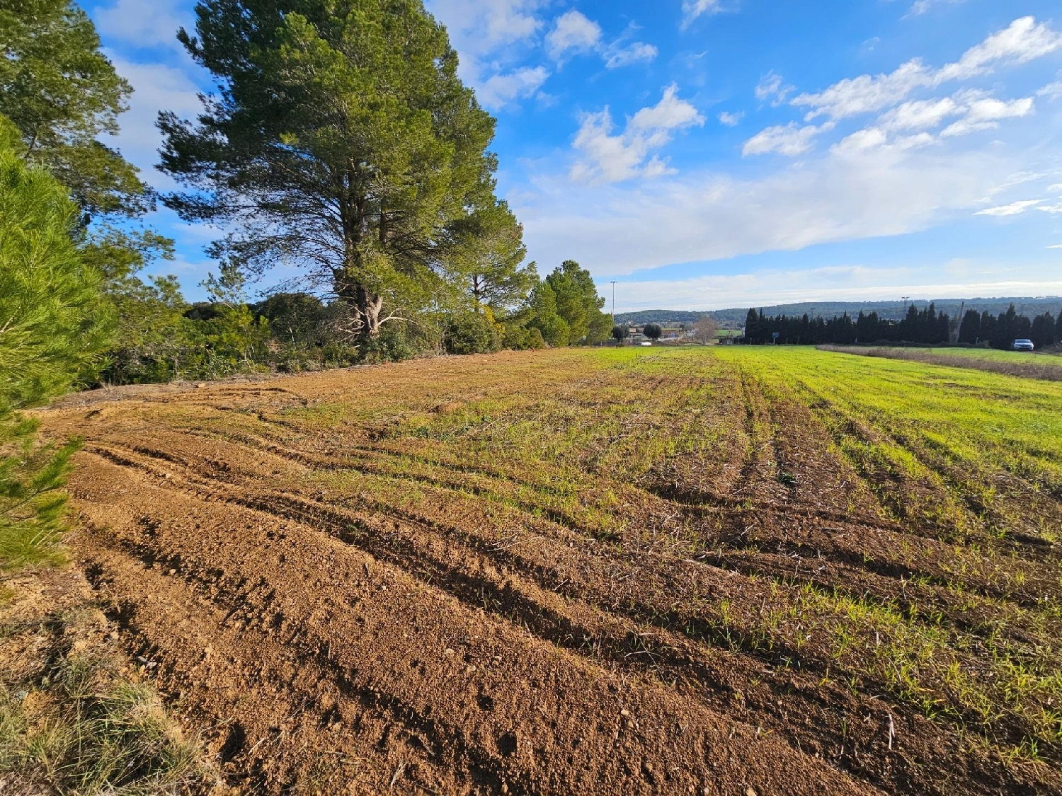 till salu hus Camallera Alt Empordà 2