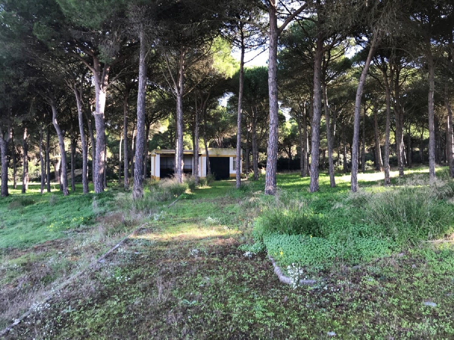  till salu lägenhet La Salut Barcelonès 12