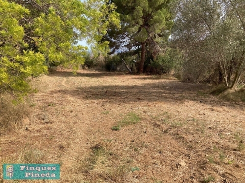 Can Carreres Maresme hus foto 6245097