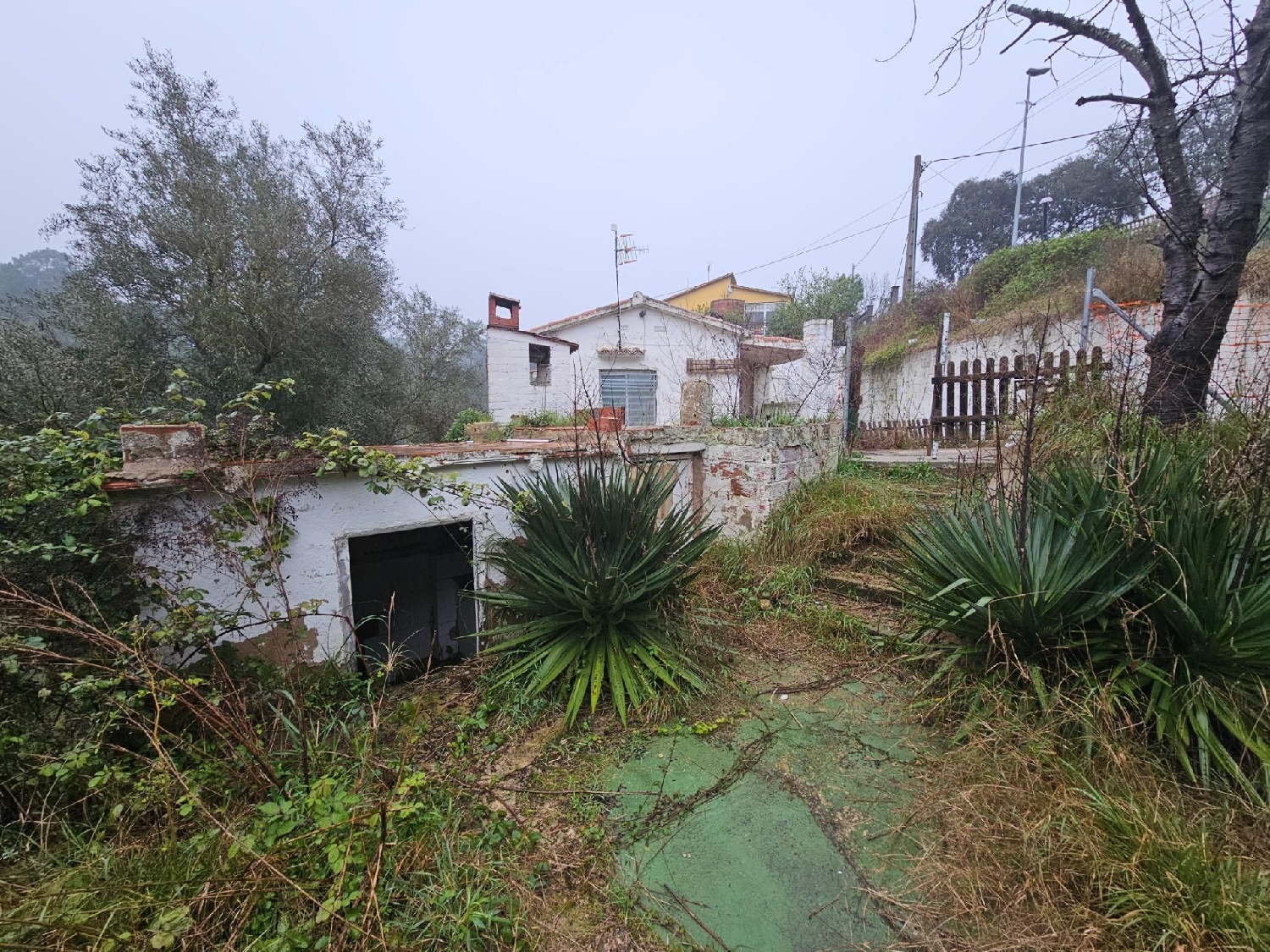  te koop huis Riudarenes Selva 4