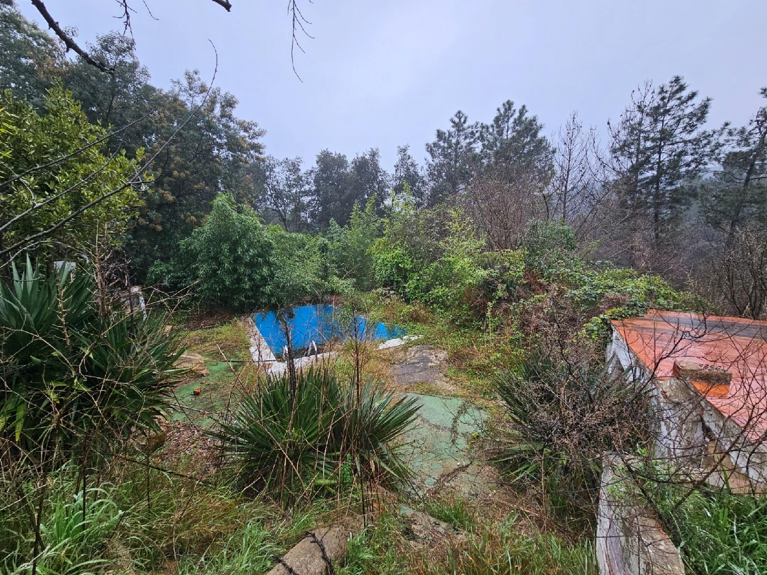  te koop huis Riudarenes Selva 8