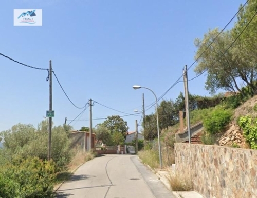 Cesalpina Baix Llobregat hus foto 6215749