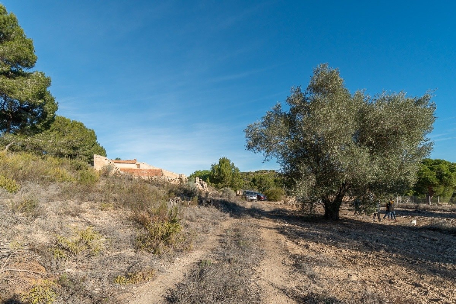  till salu hus Cañada De Praez Baix Segura 3
