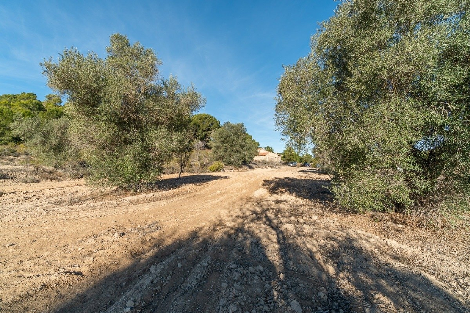  till salu hus Cañada De Praez Baix Segura 8