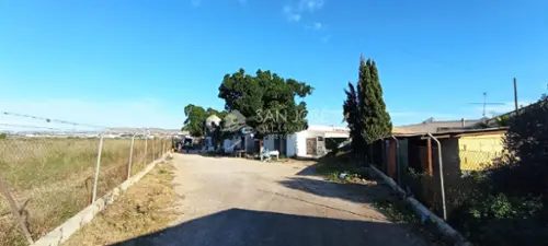 Mil Palmeras Baix Segura hus foto 6191520
