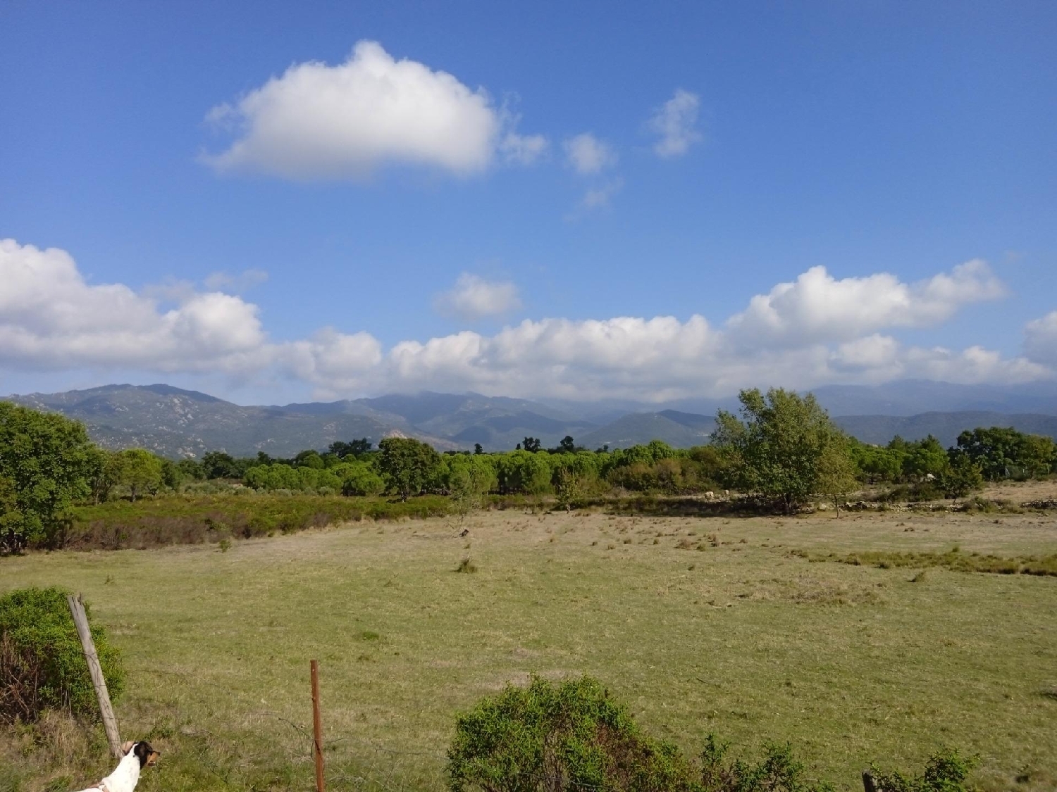  till salu hus Cantallops Alt Empordà 5