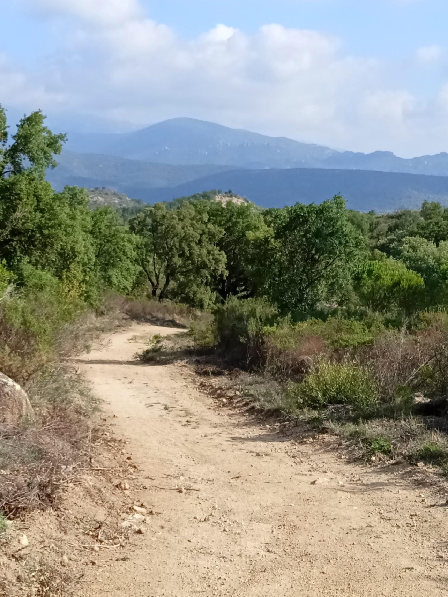  till salu hus Cantallops Alt Empordà 4