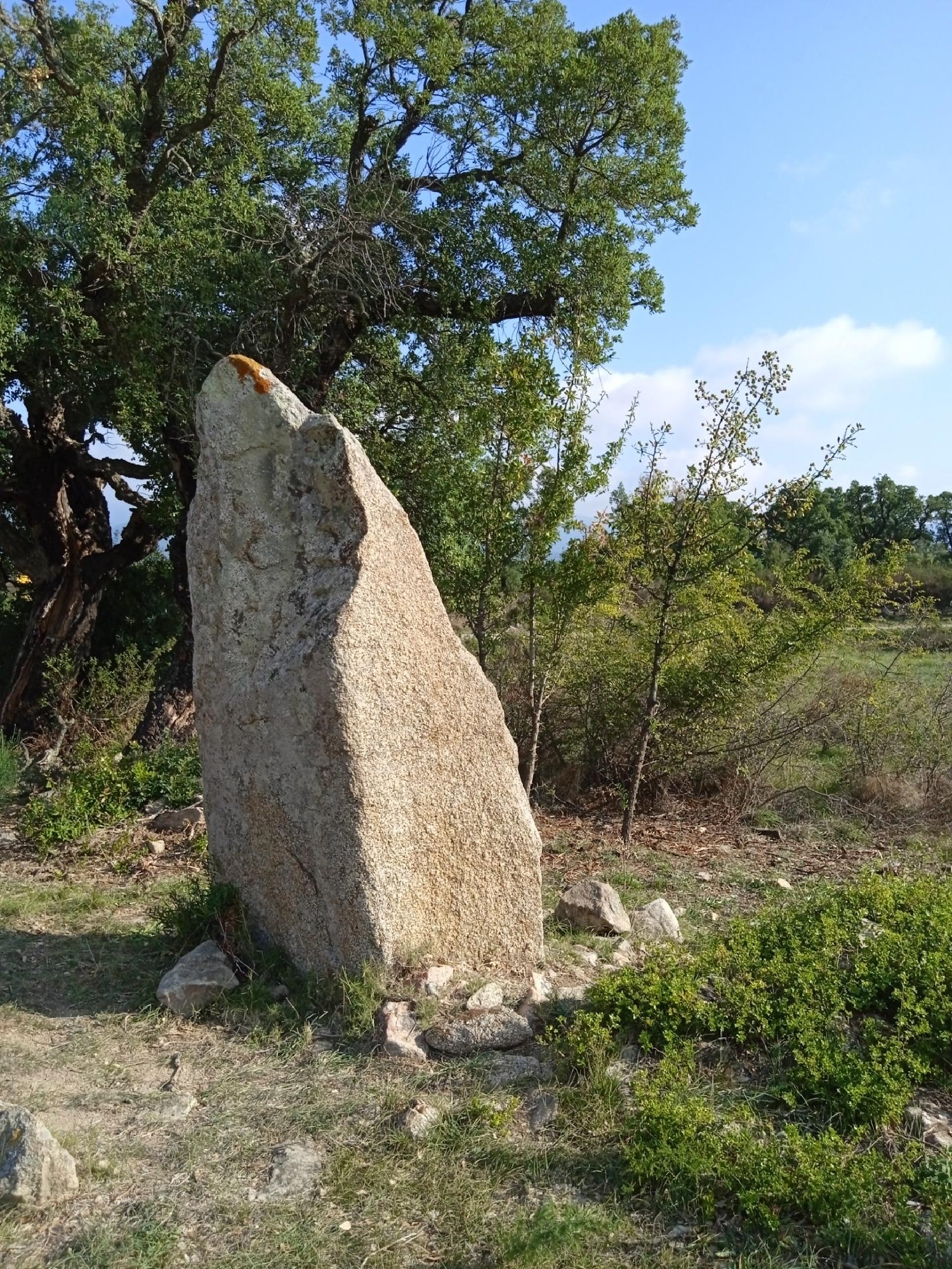  till salu hus Cantallops Alt Empordà 7