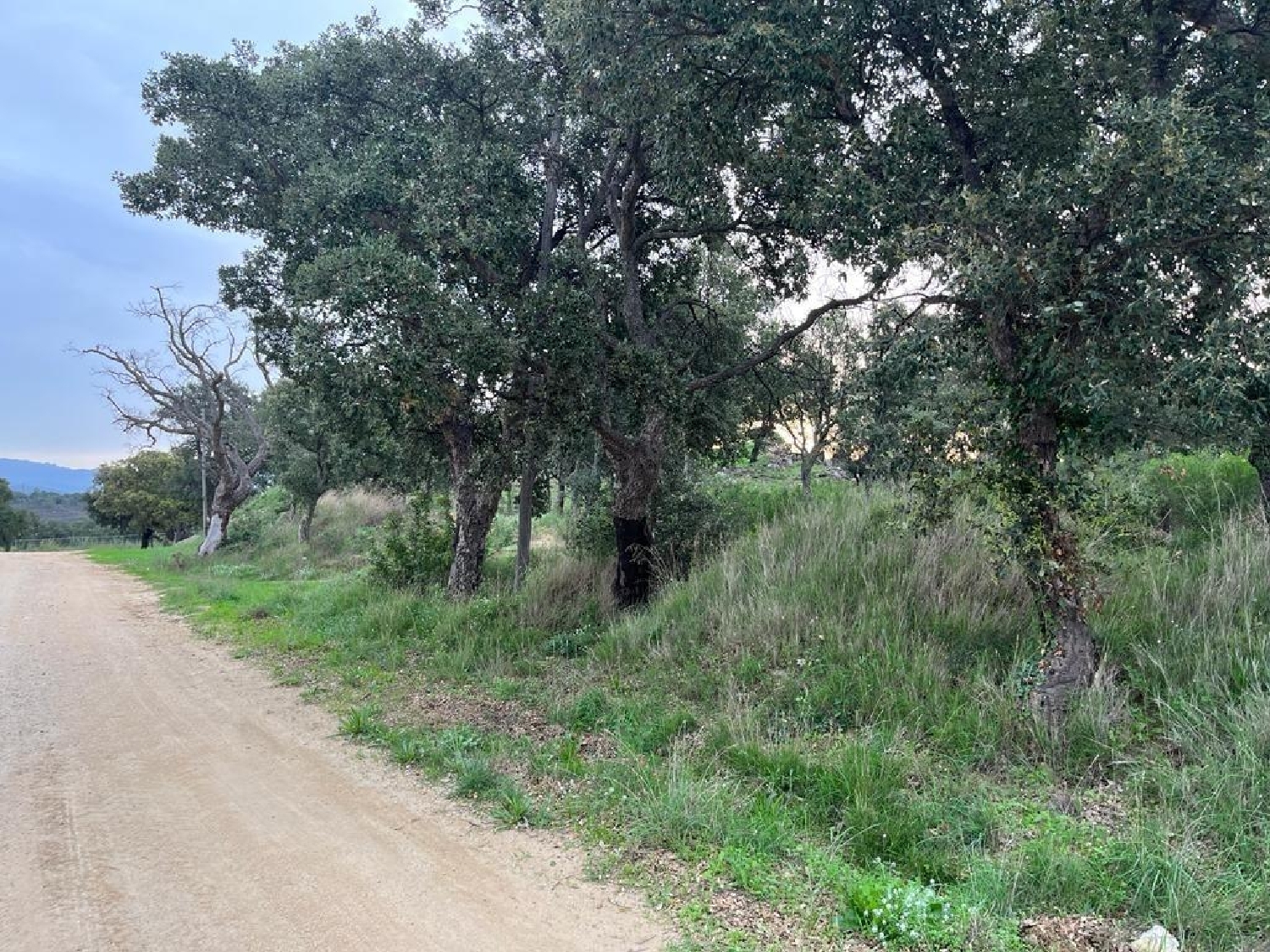 till salu hus Cantallops Alt Empordà 3