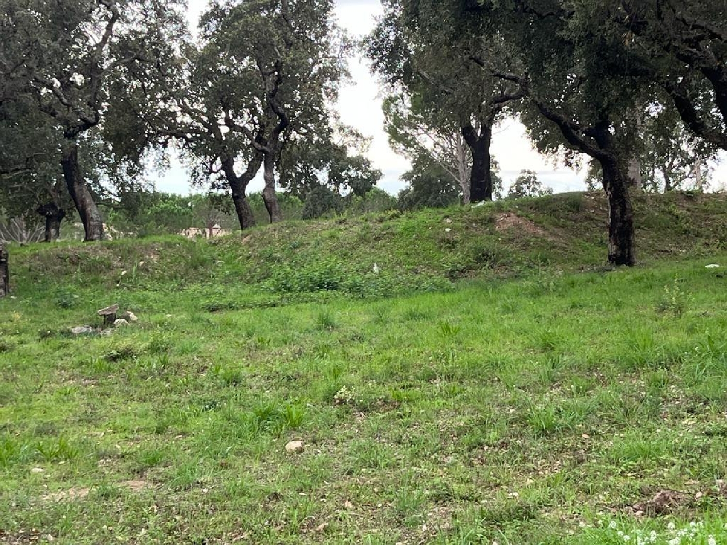  till salu hus Cantallops Alt Empordà 1