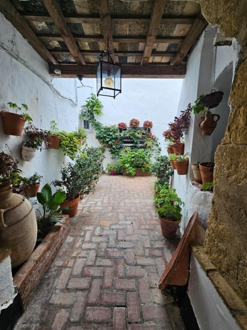 Cantarranas Janda (La) hus foto 6226017