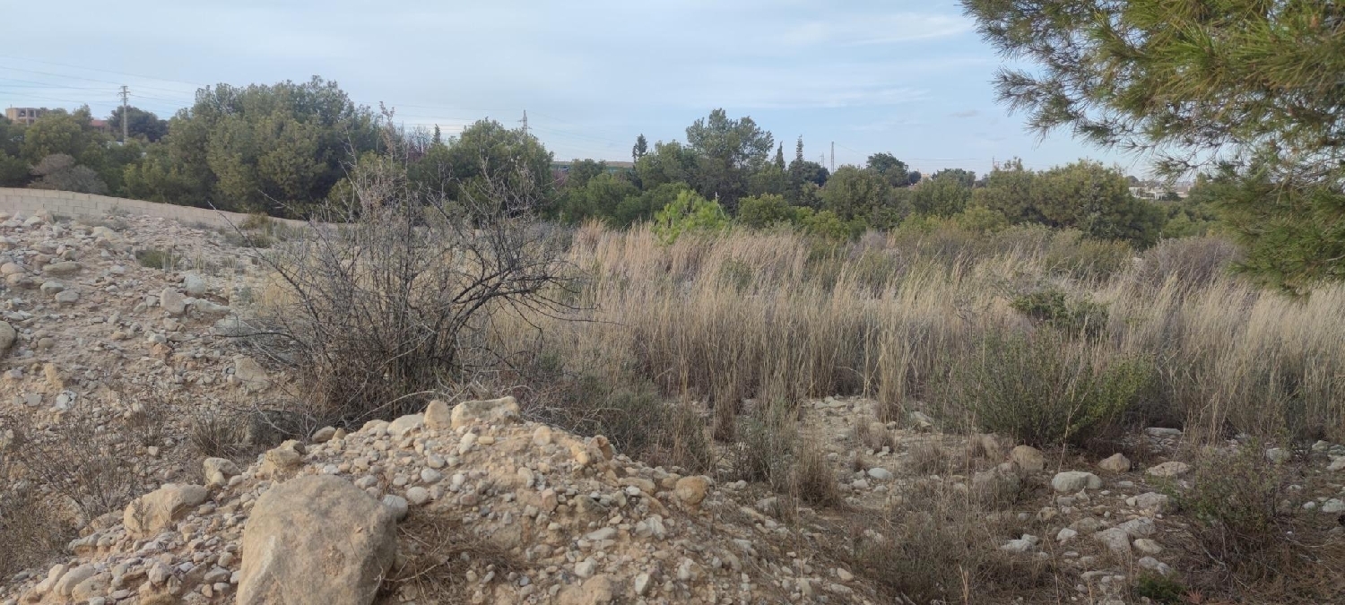  till salu hus Carrús Baix Vinalopó 6