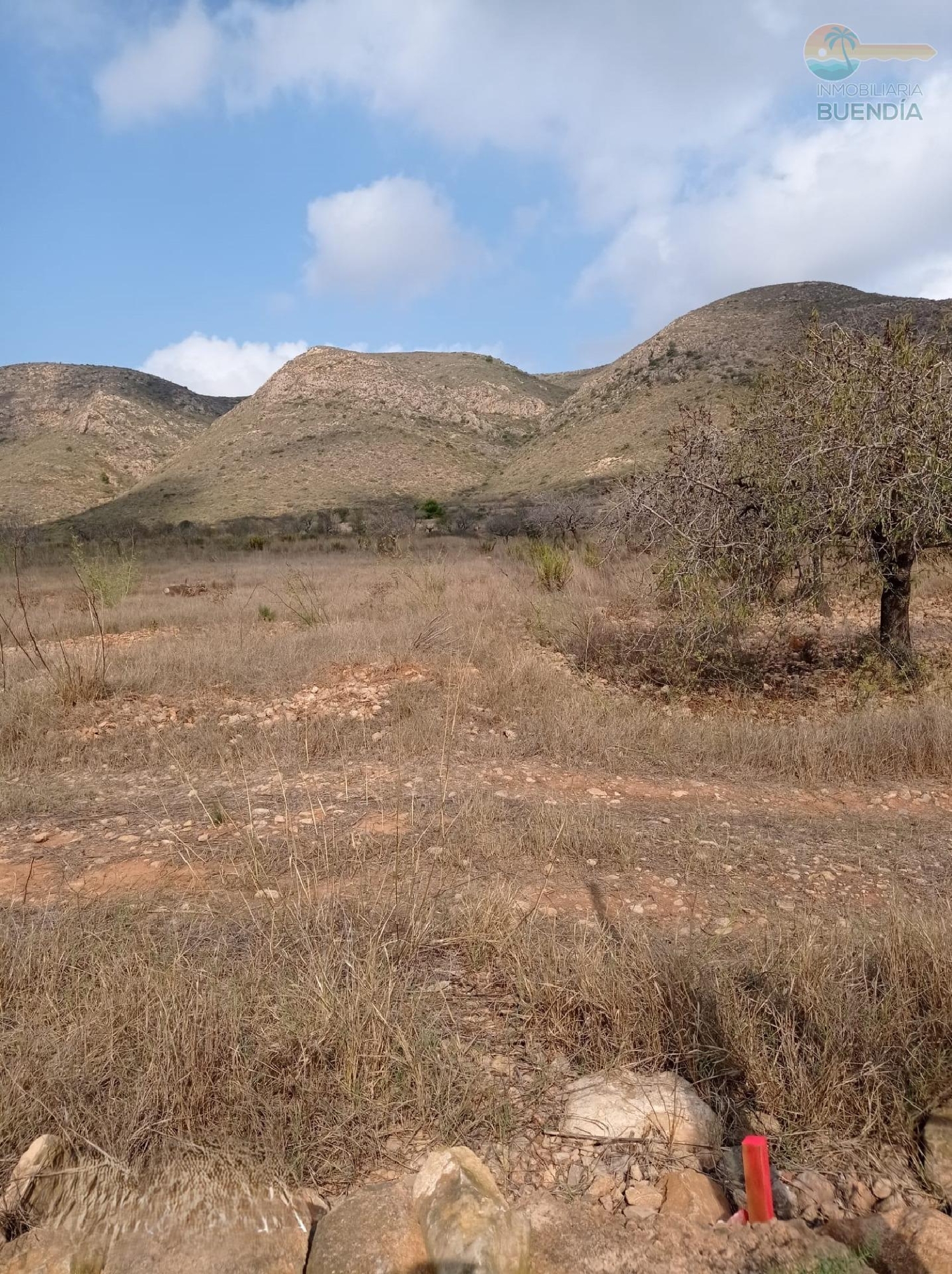  till salu hus Cartagena Campo De Cartagena 6
