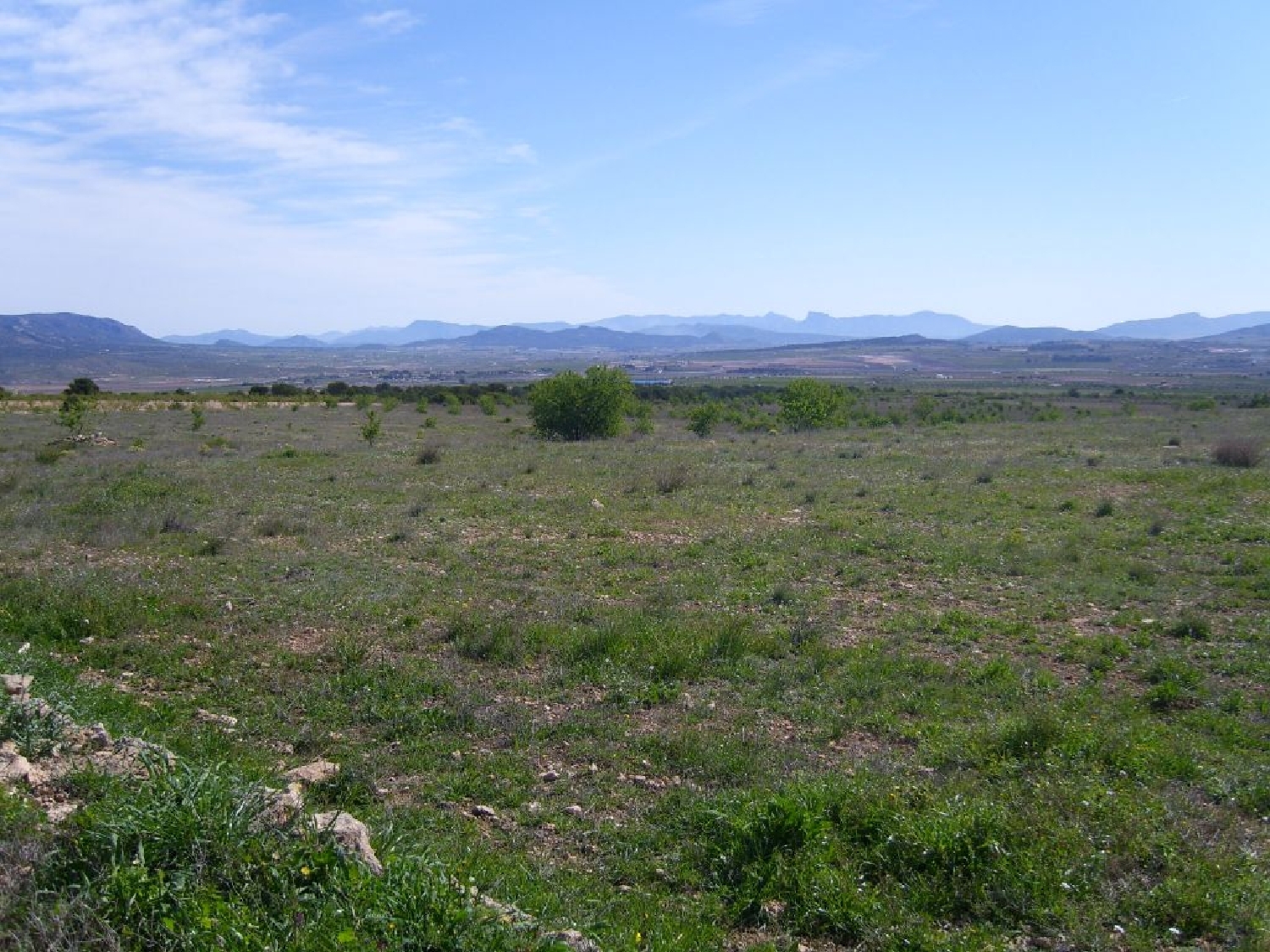 till salu hus Casas De Ibáñez Vinalopó Mitjà 3