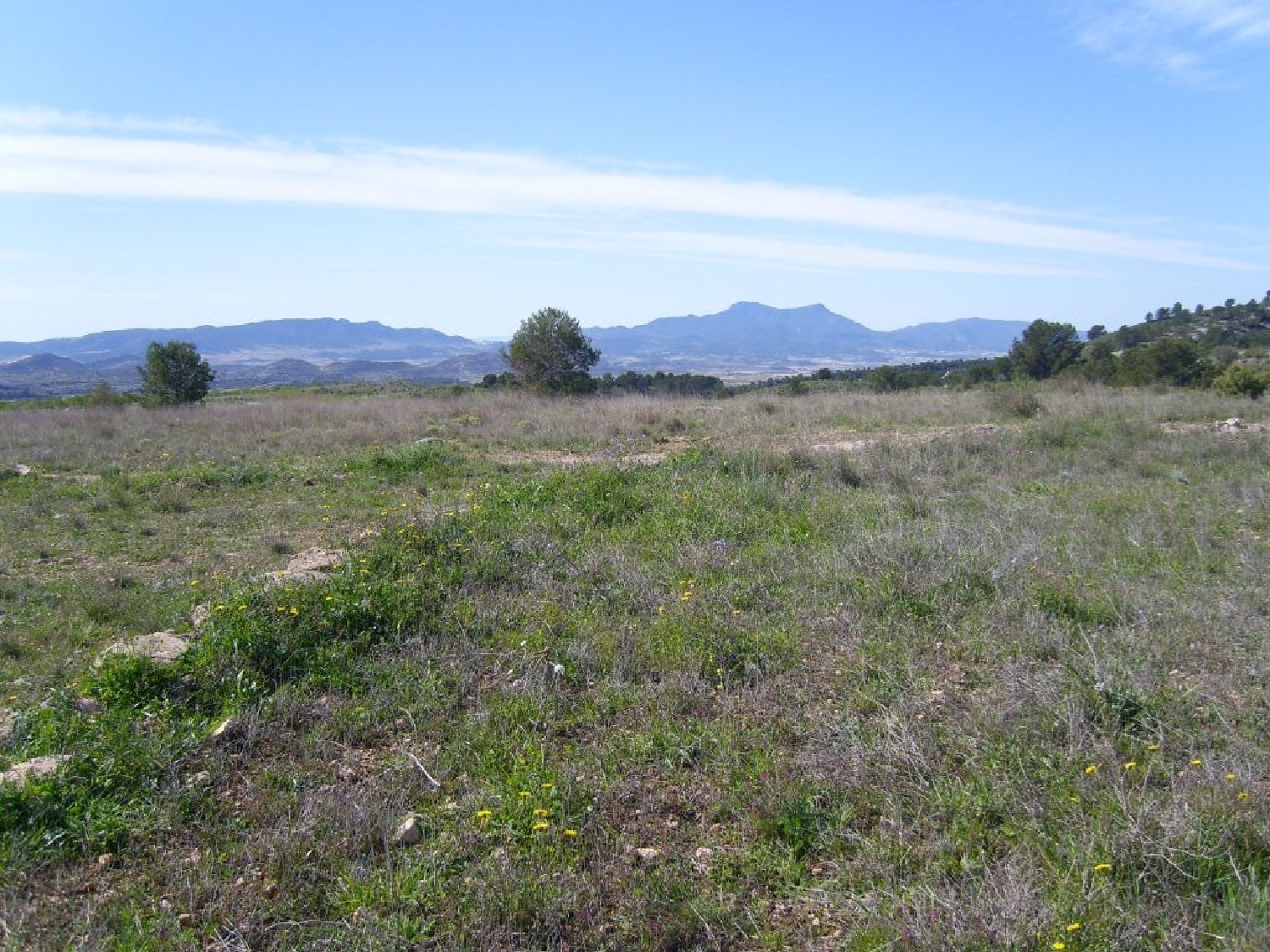  till salu hus Casas De Ibáñez Vinalopó Mitjà 5