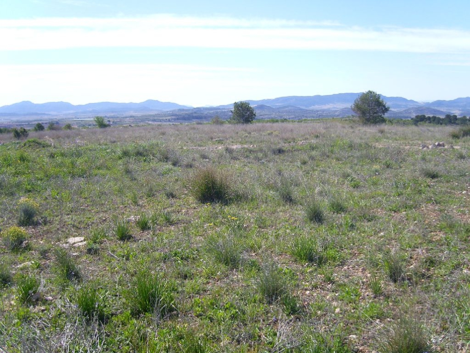 till salu hus Casas De Ibáñez Vinalopó Mitjà 2