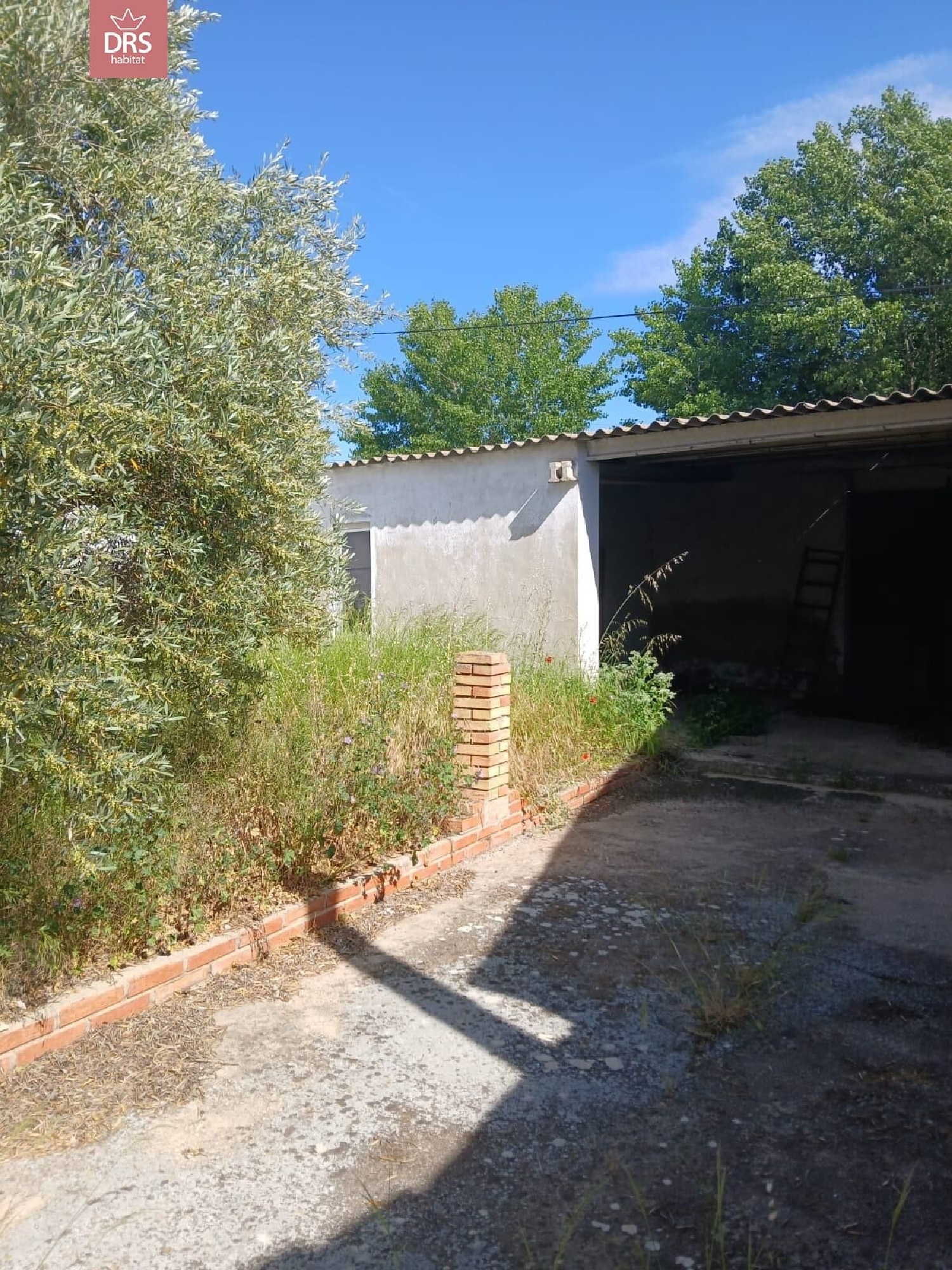  till salu hus Casas De Ves Manchuela (La) 4