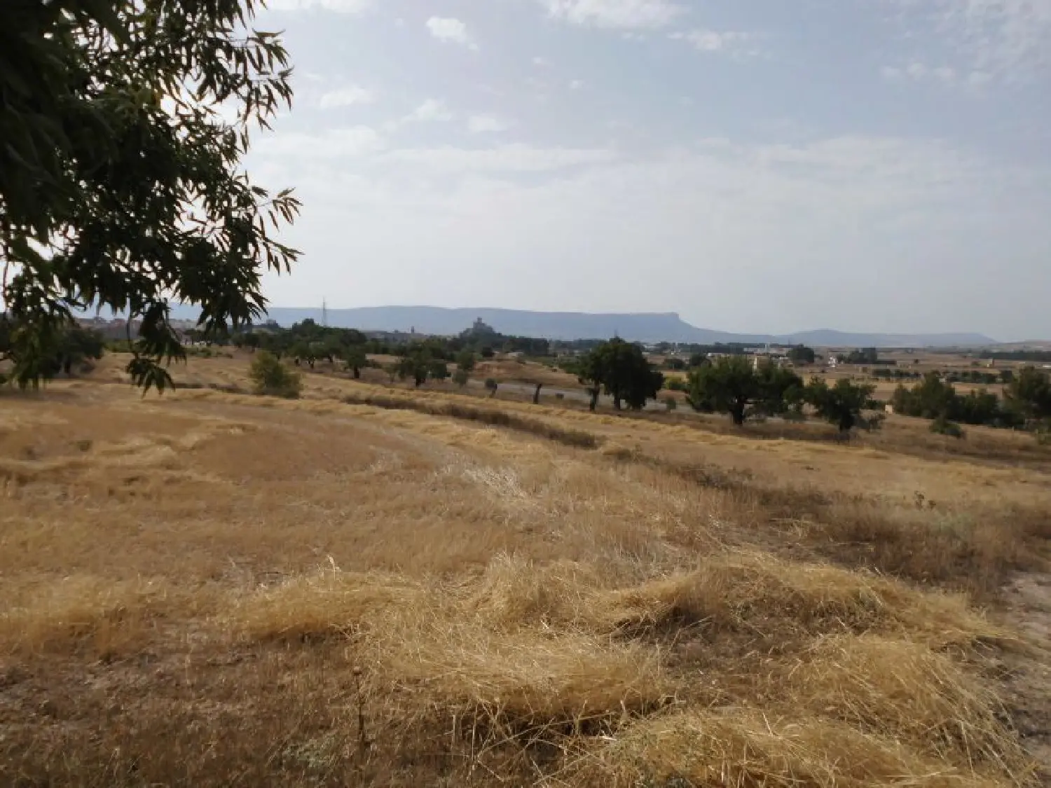  en venta casa Almansa Monte Ibérico Almansa 1