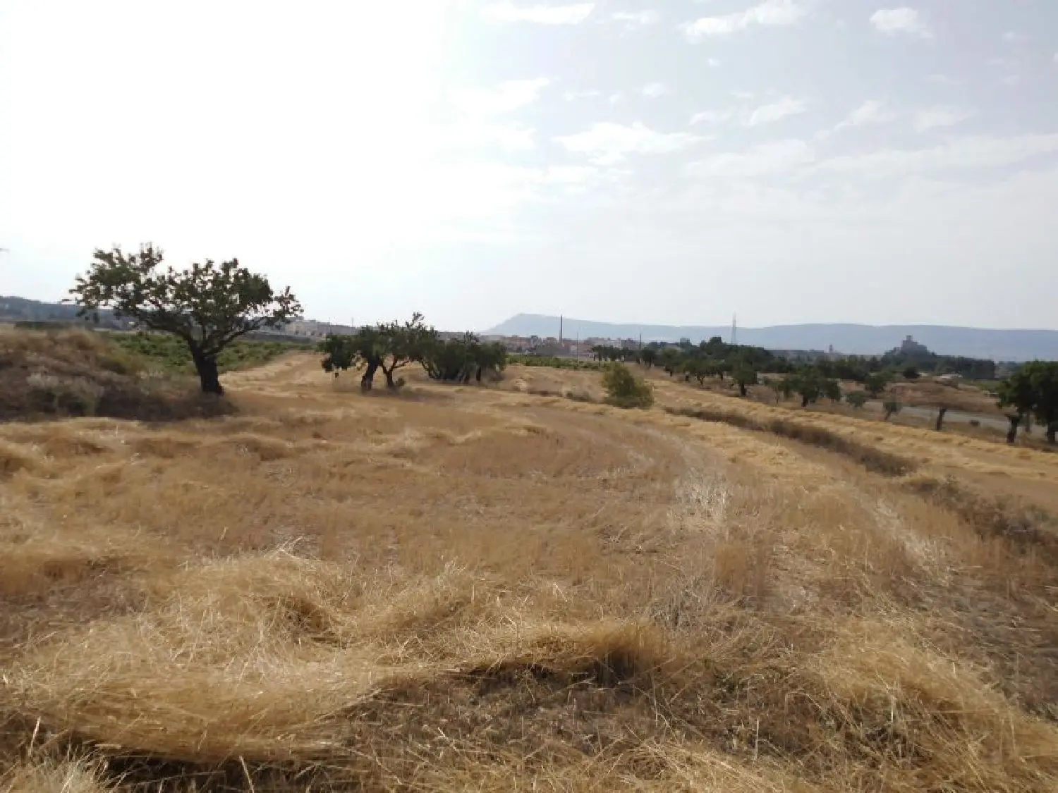 en venta casa Almansa Monte Ibérico Almansa 3