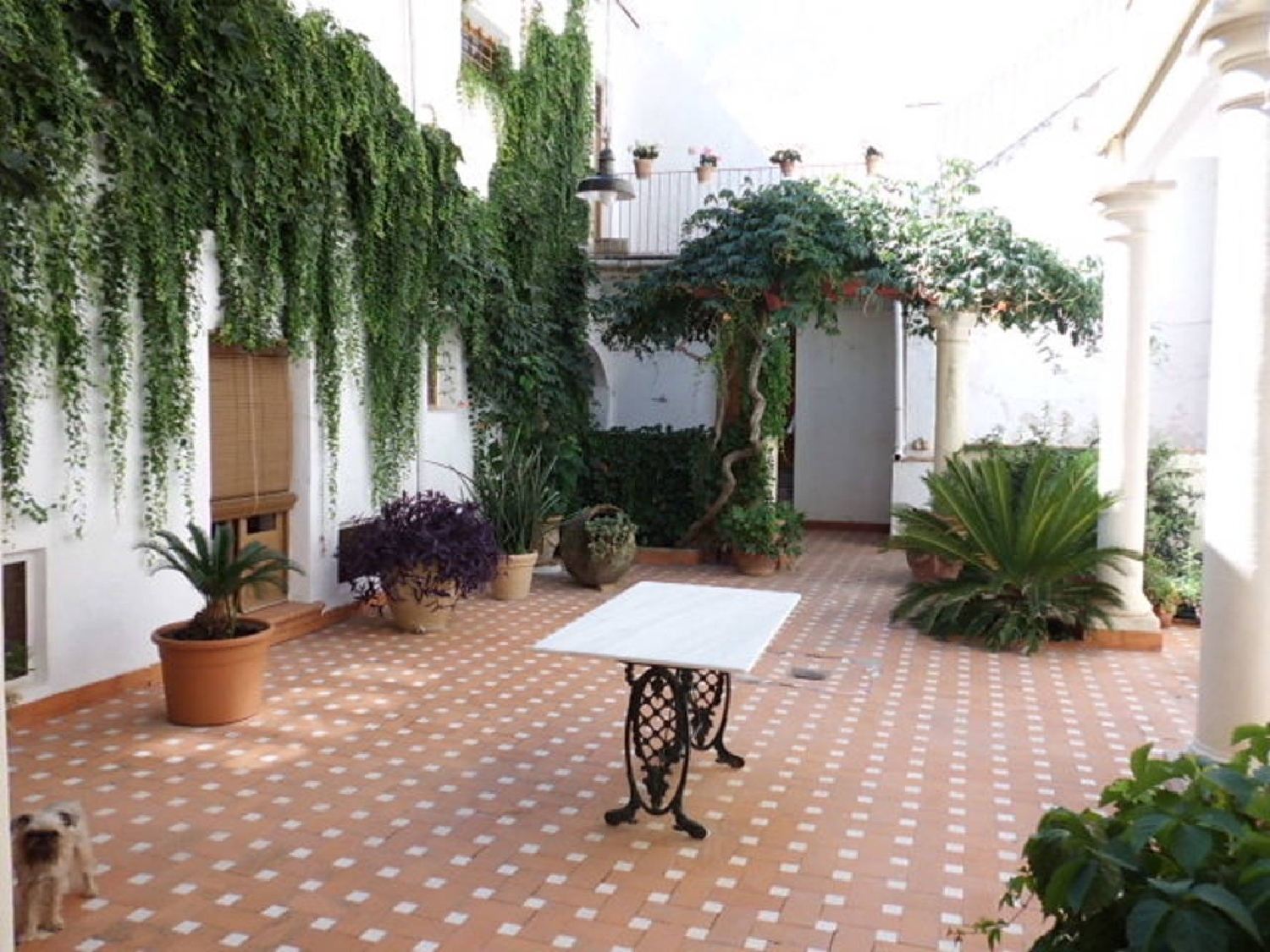  till salu hus Casas Del Campillo Monte Ibérico Almansa 6