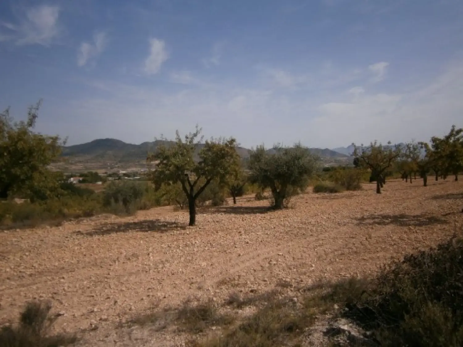  till salu hus Canyades D'en Cirus Vinalopó Mitjà 1