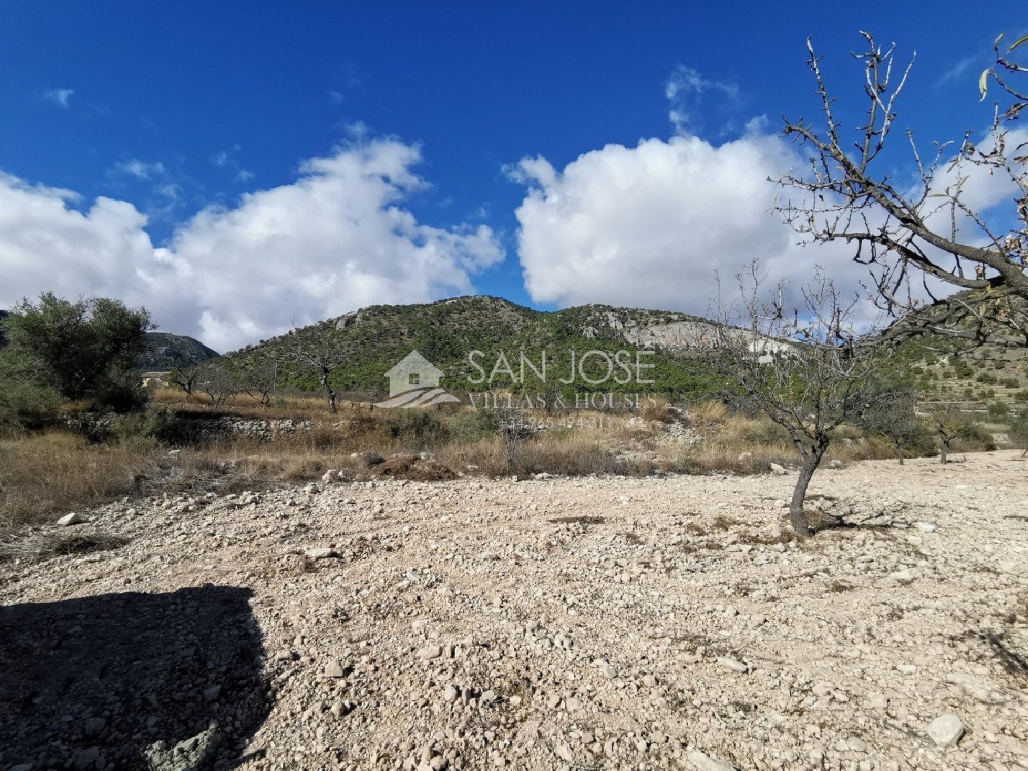 till salu hus Cases Joan Blanco Vinalopó Mitjà 2