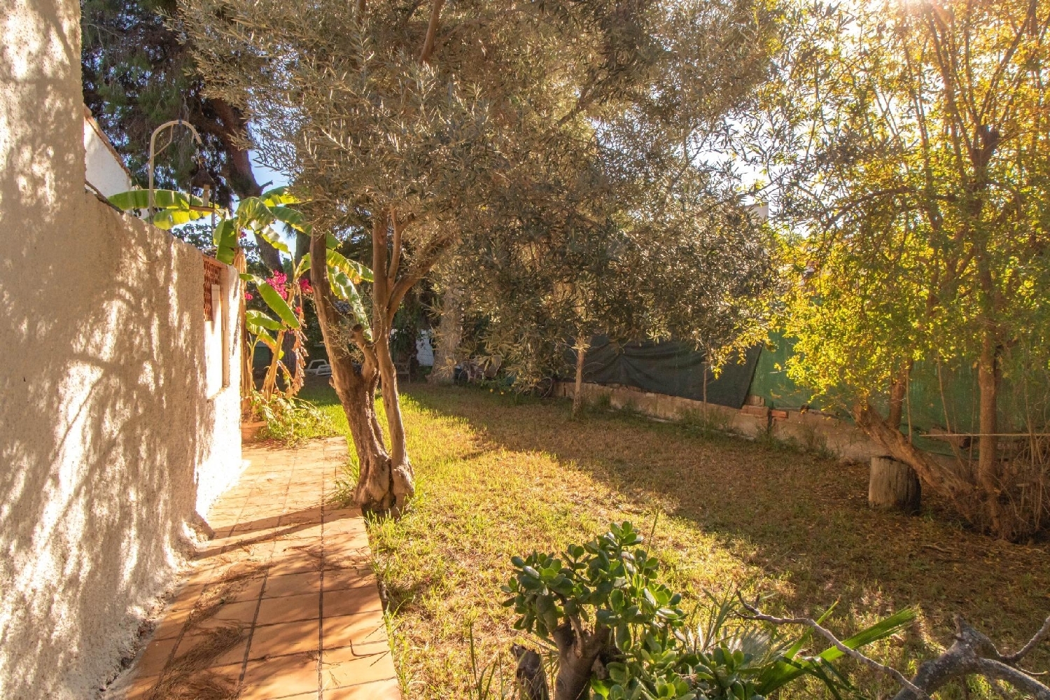  till salu hus La Zenia Baix Segura 18