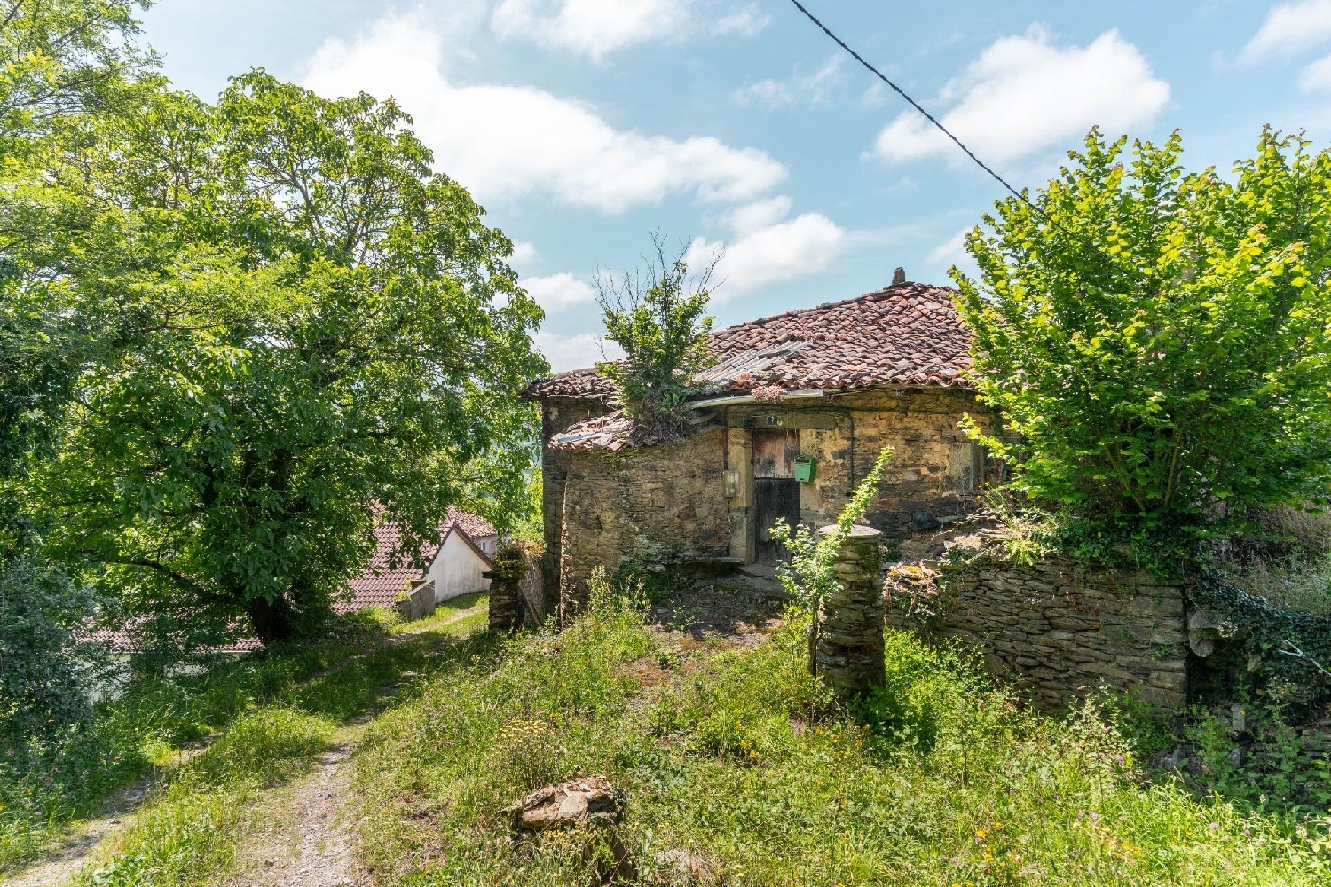  till salu hus Ceceda Narcea 6