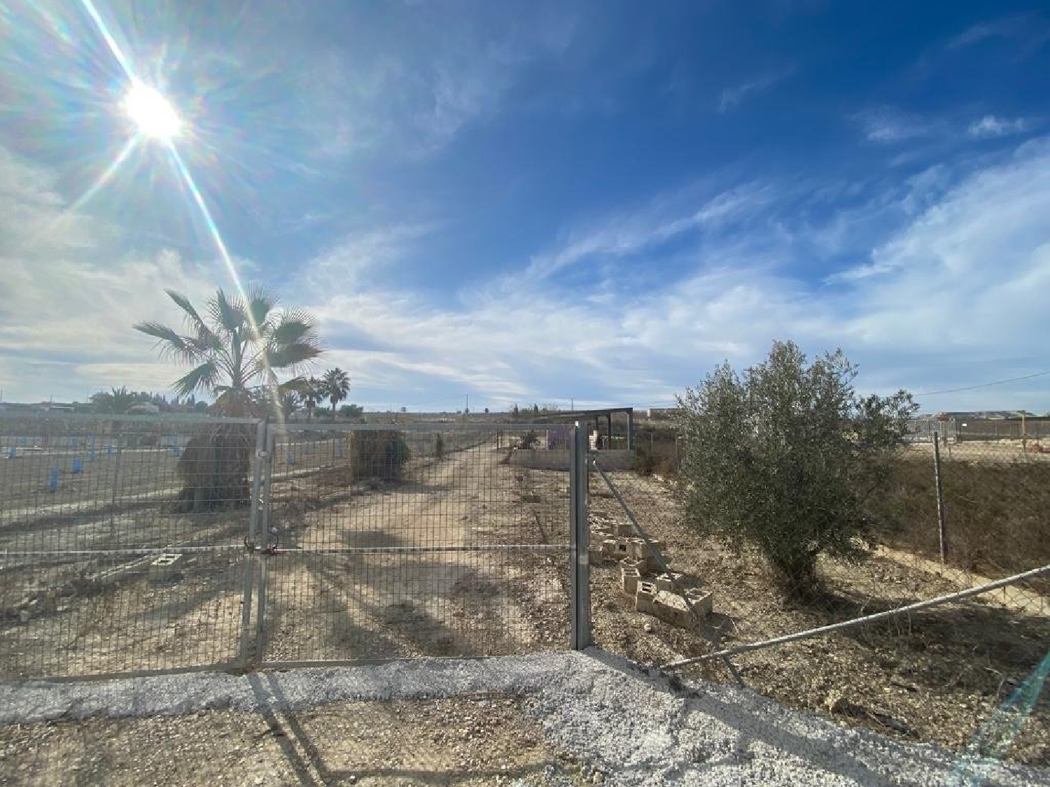  en venta casa Ceutí Vega Media Del Segura 4