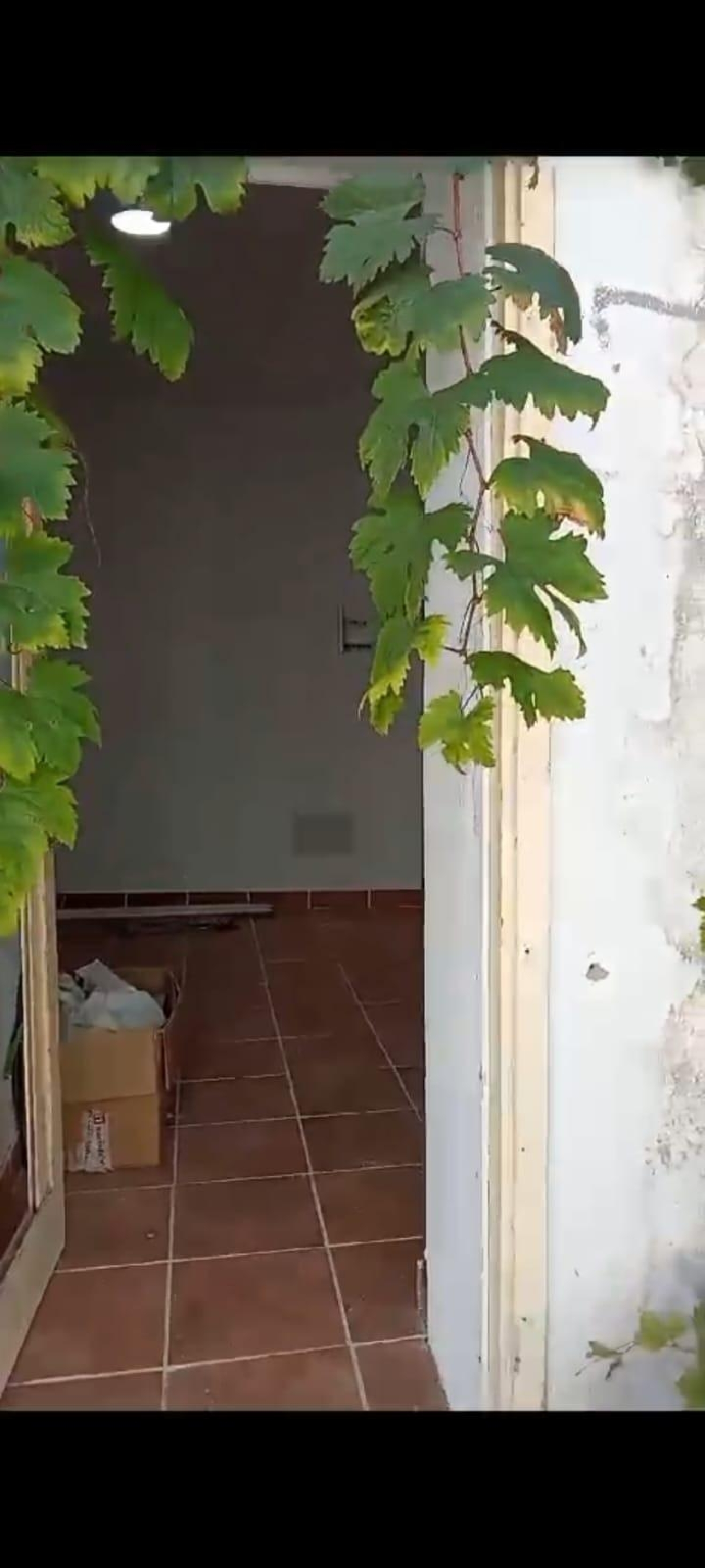  till salu hus Chio Zona Suroeste 6