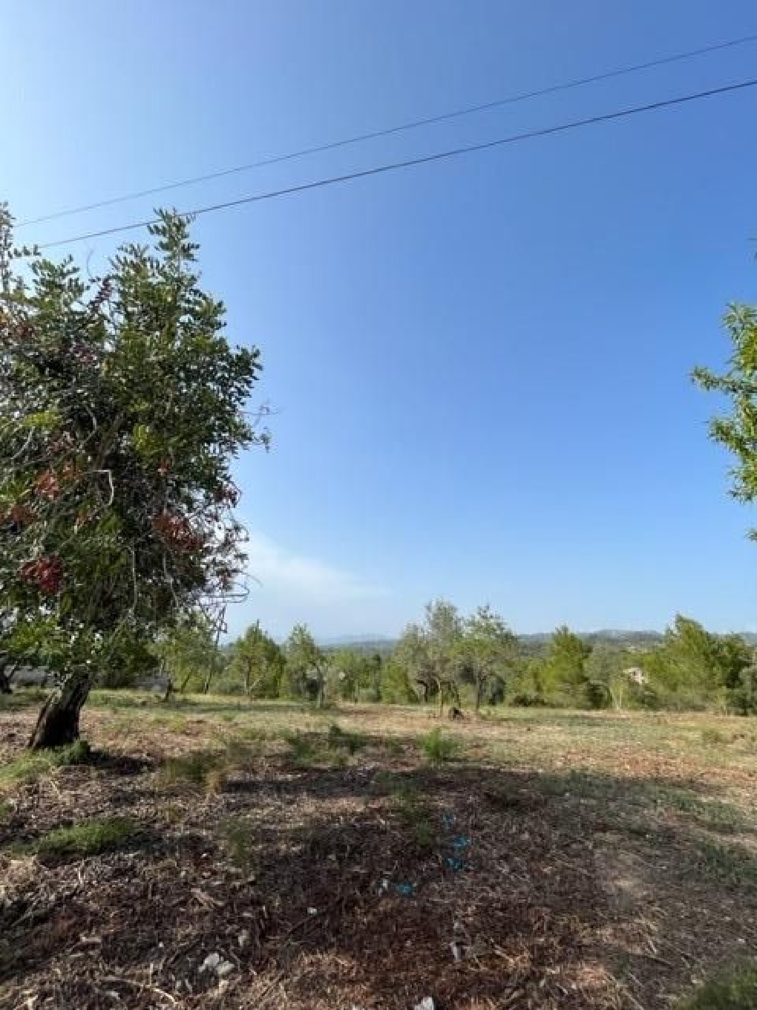  till salu hus Santa Rosa De Lima Baix Ebre 8