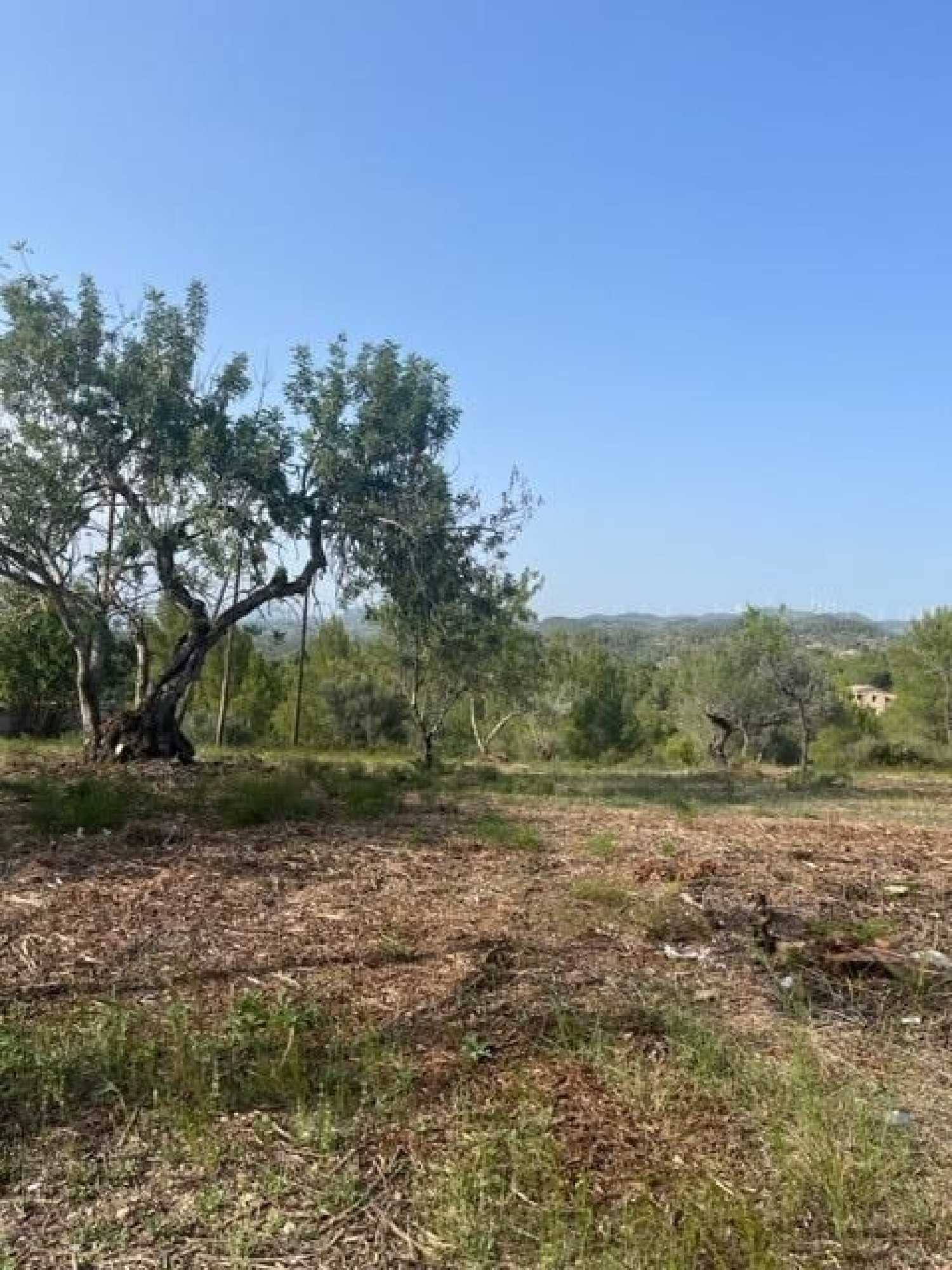  till salu hus Santa Rosa De Lima Baix Ebre 6