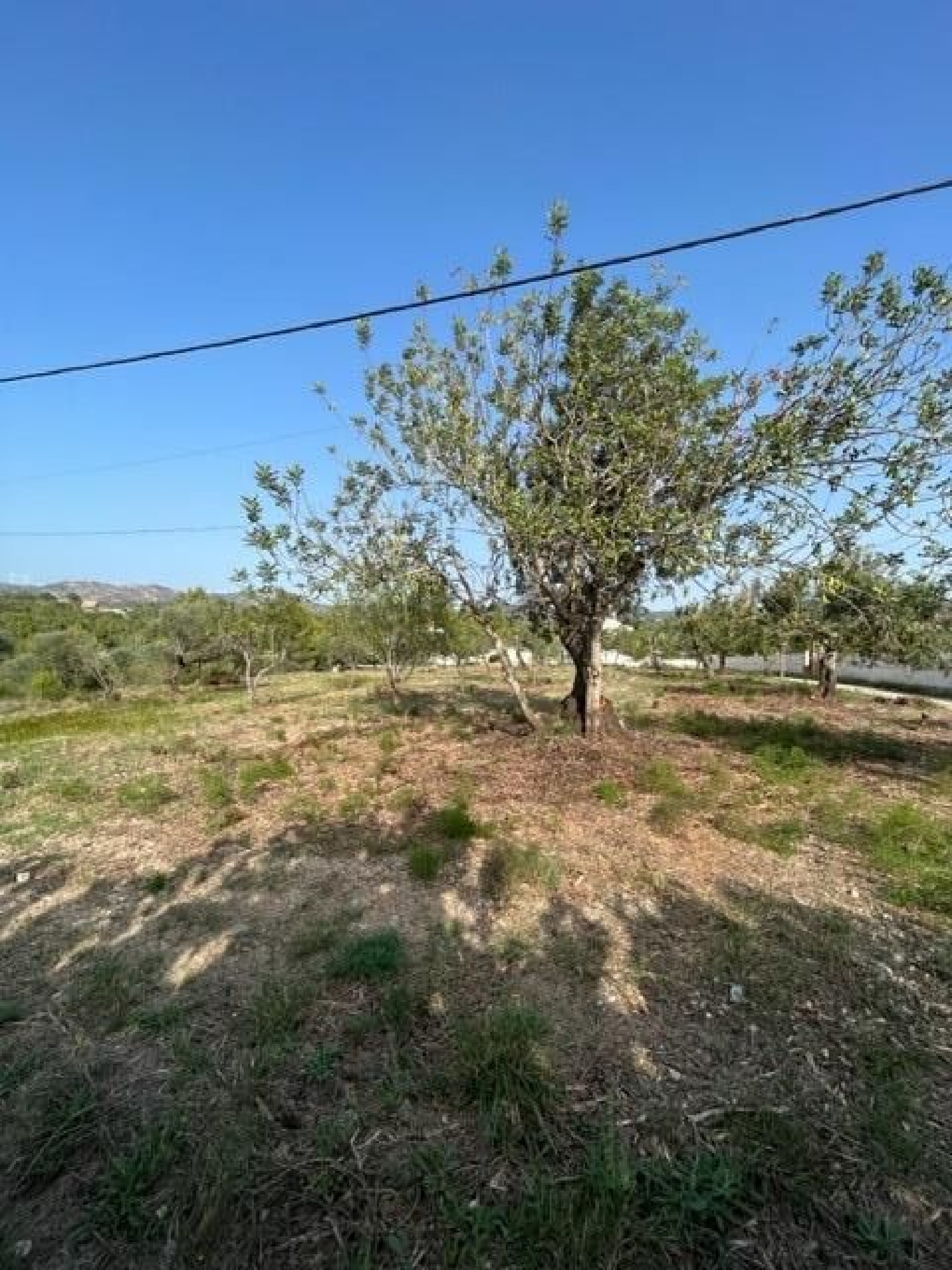 till salu hus Santa Rosa De Lima Baix Ebre 3