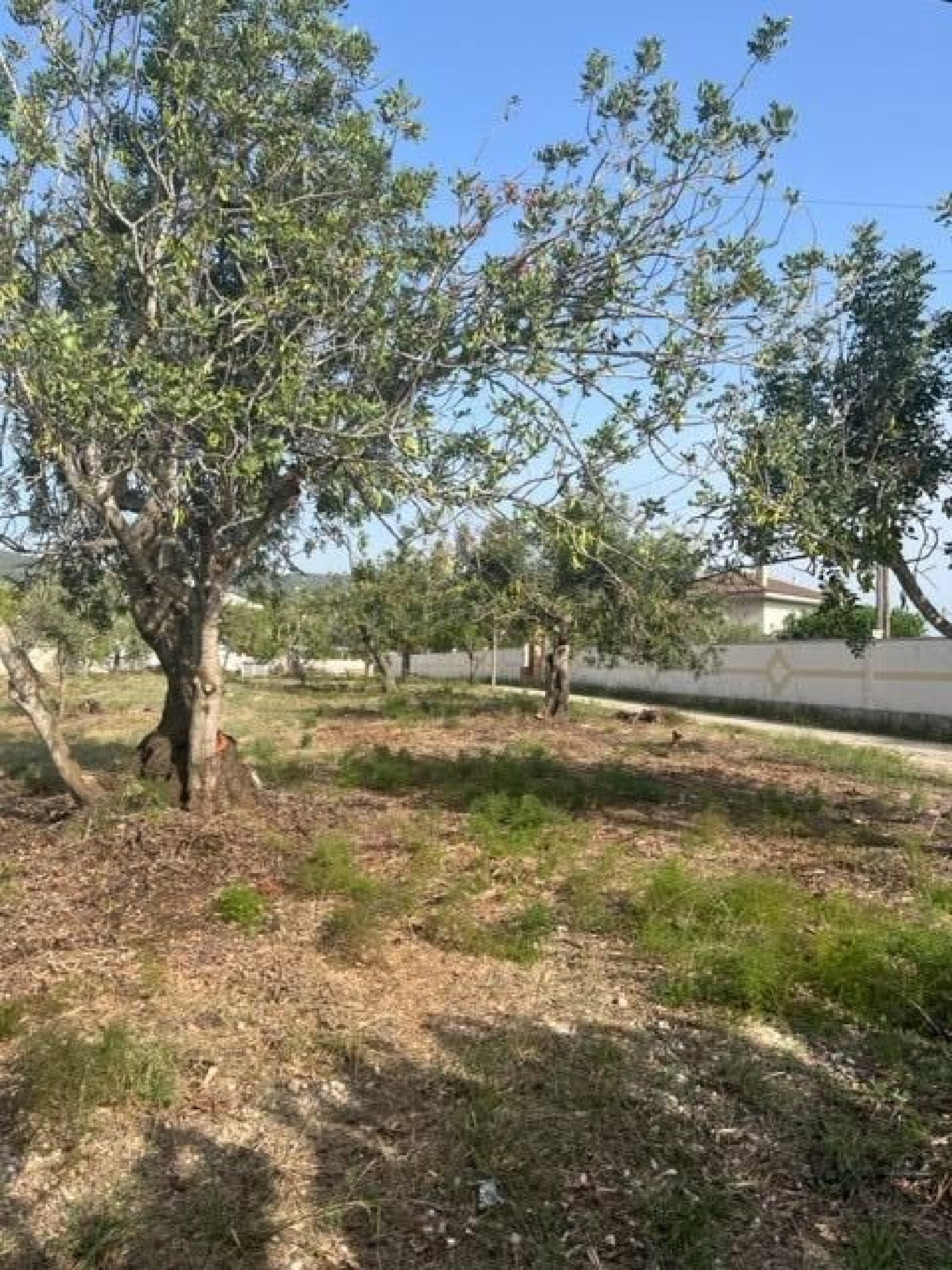  till salu hus Santa Rosa De Lima Baix Ebre 5