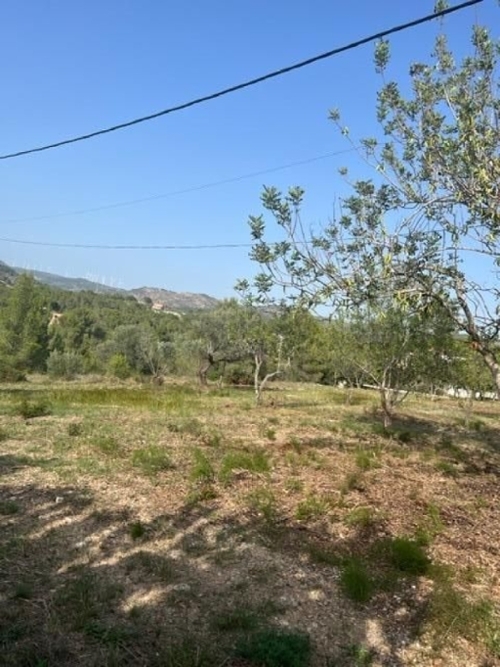 Santa Rosa De Lima Baix Ebre hus foto 6240071