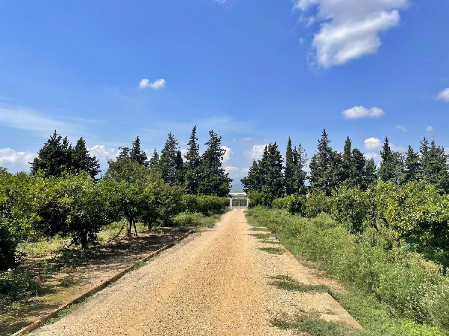 till salu hus Colonia Gasol Baix Ebre 2