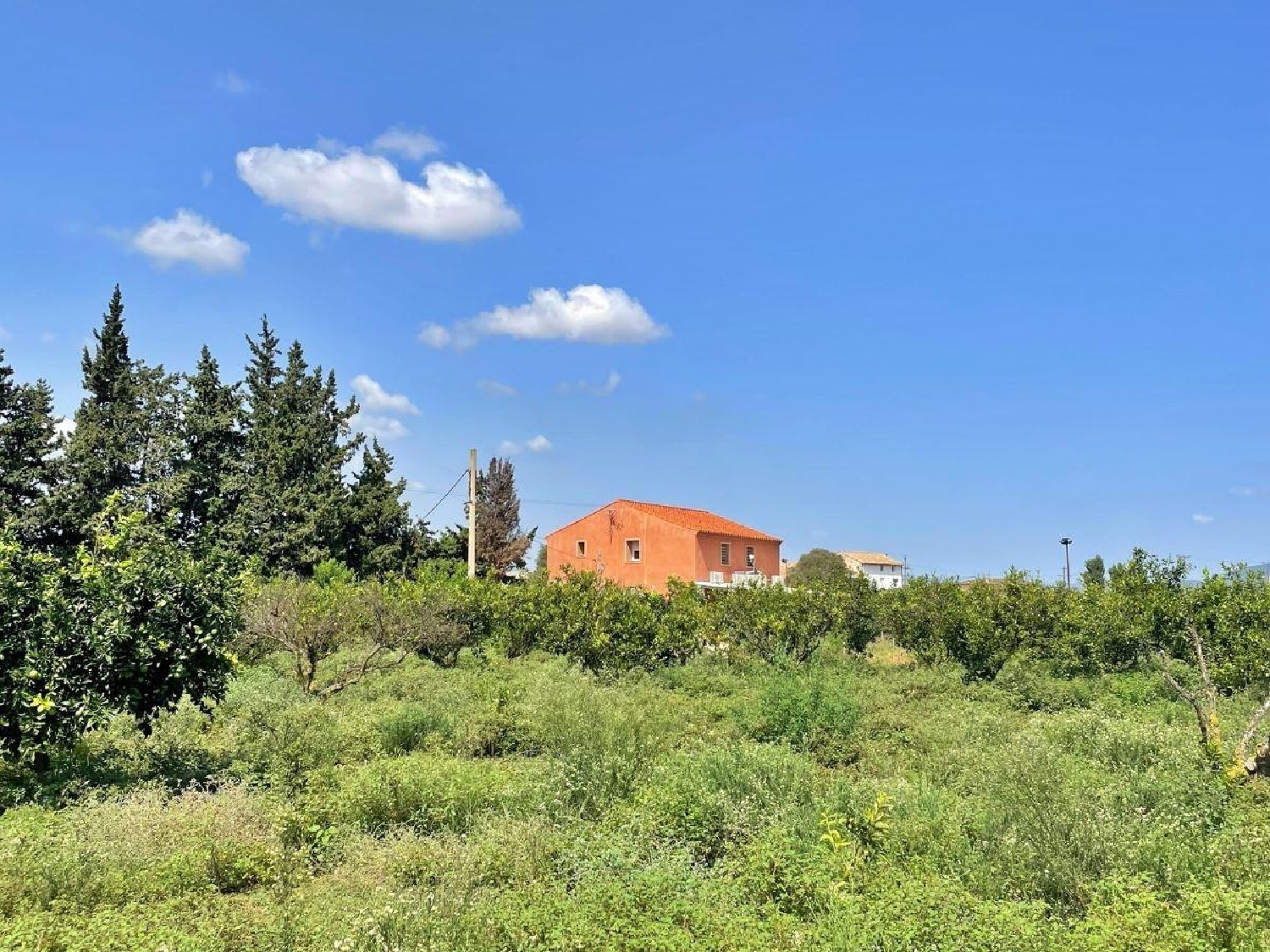  till salu hus Colonia Gasol Baix Ebre 4