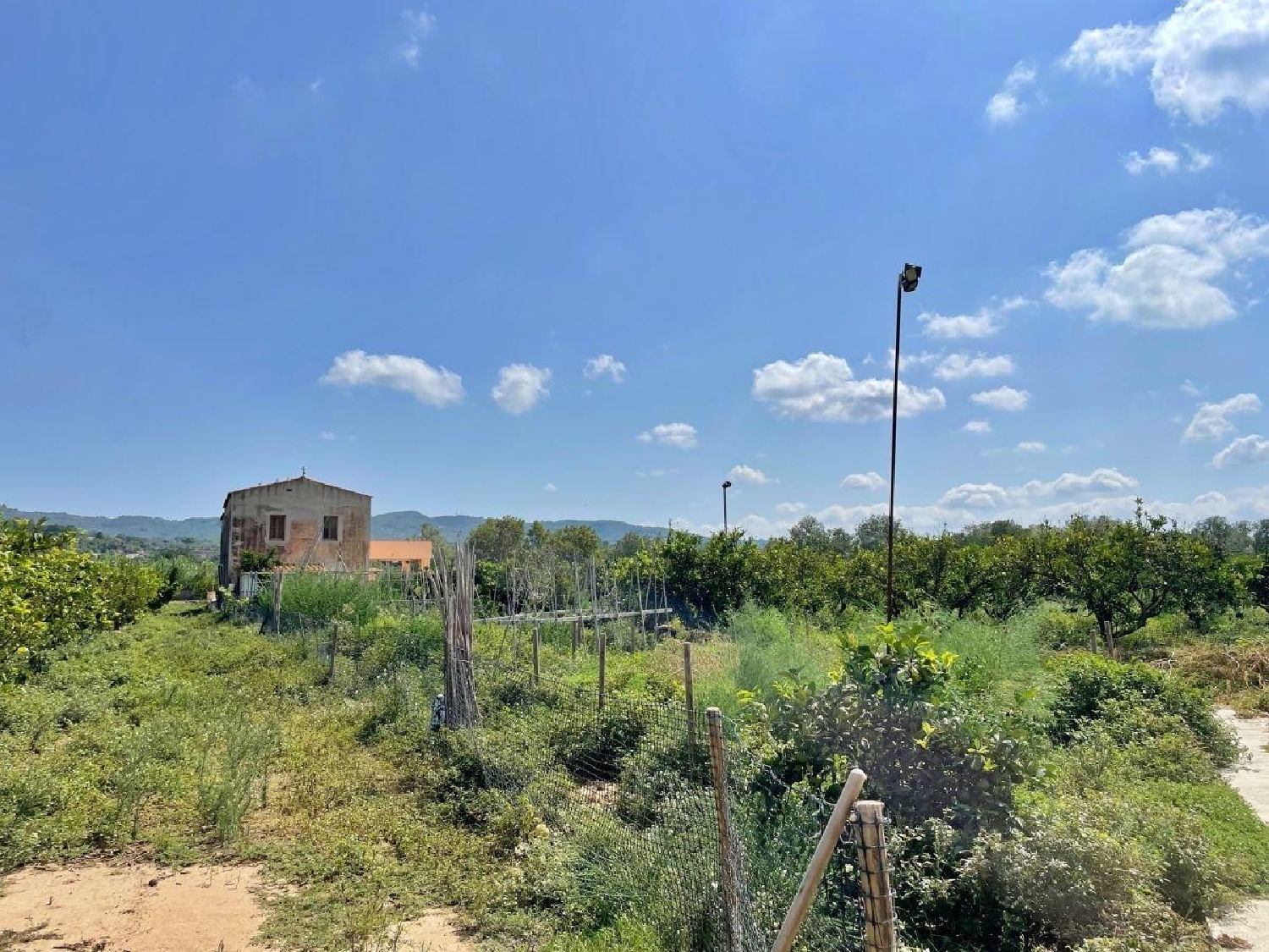  till salu hus Colonia Gasol Baix Ebre 6