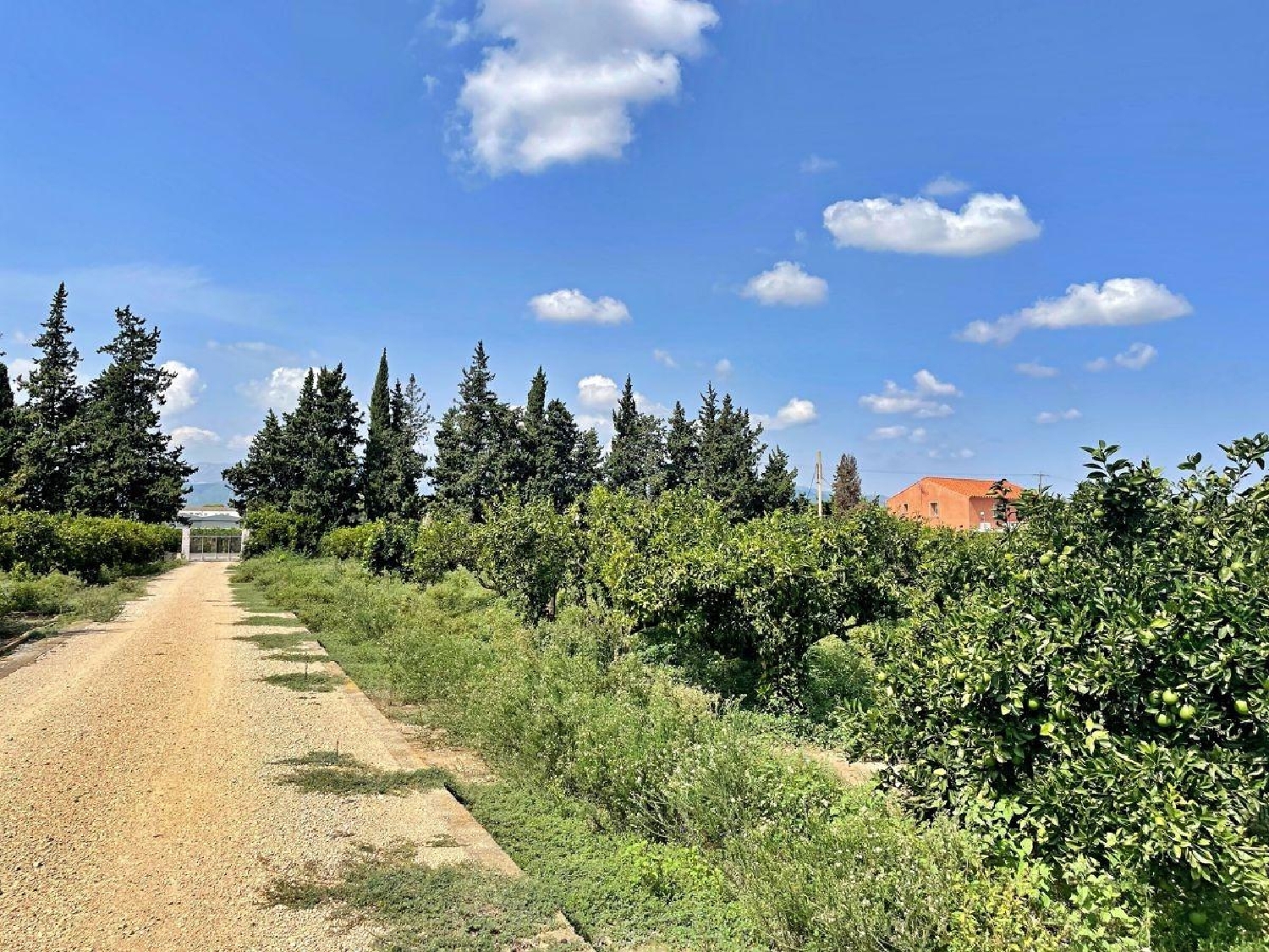 till salu hus Colonia Gasol Baix Ebre 3