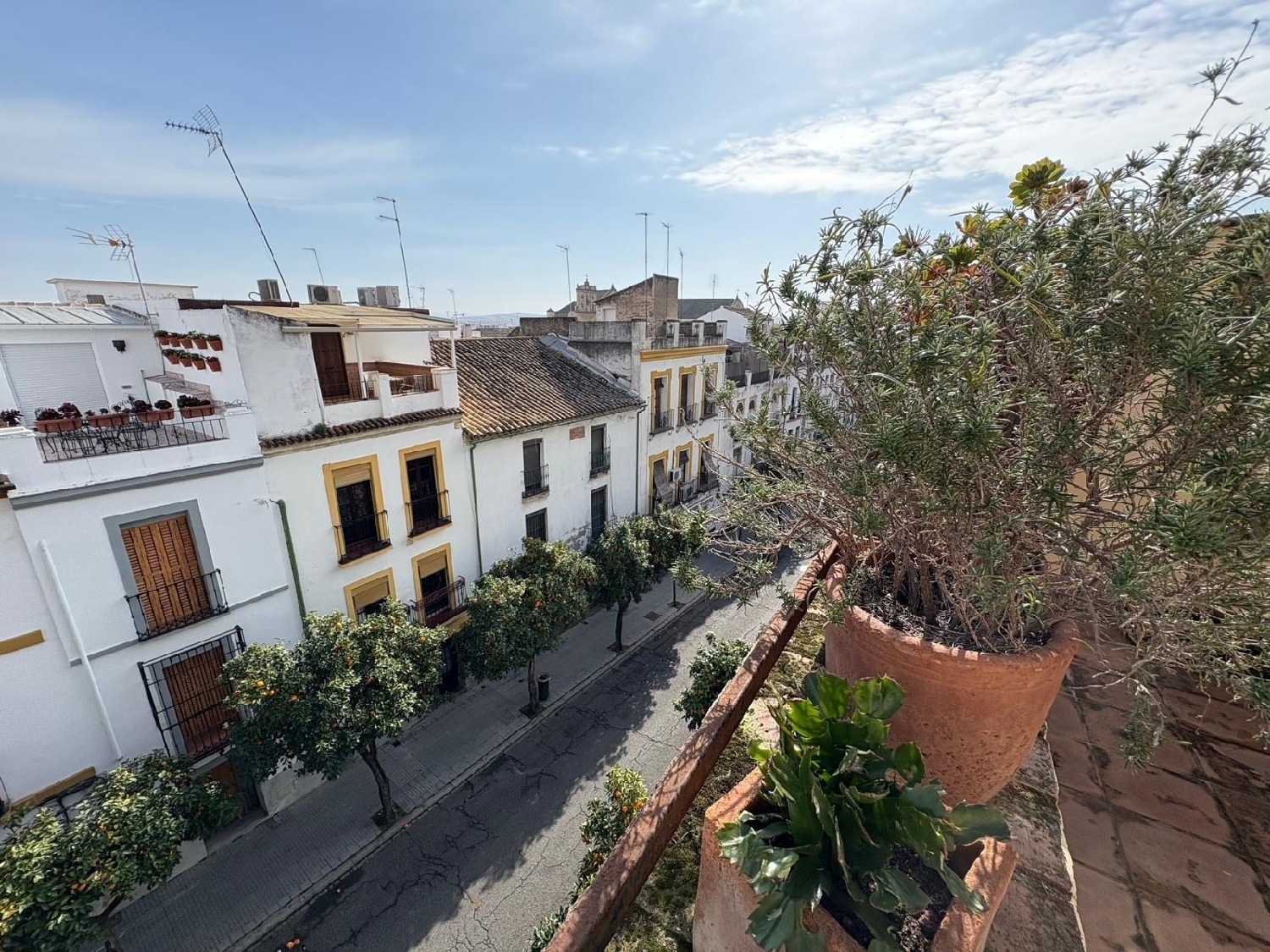  till salu hus Santa Clara Córdoba 7