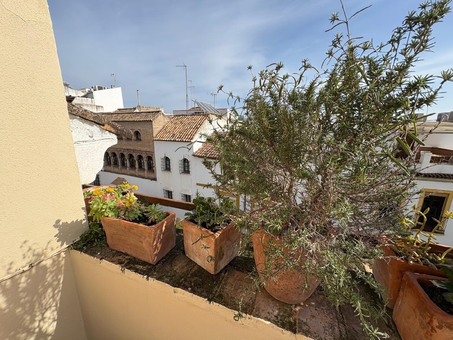  till salu hus Santa Clara Córdoba 8
