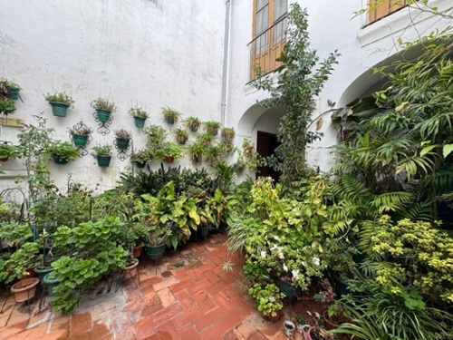 Córdoba Centro 14003 Córdoba hus foto 6252018
