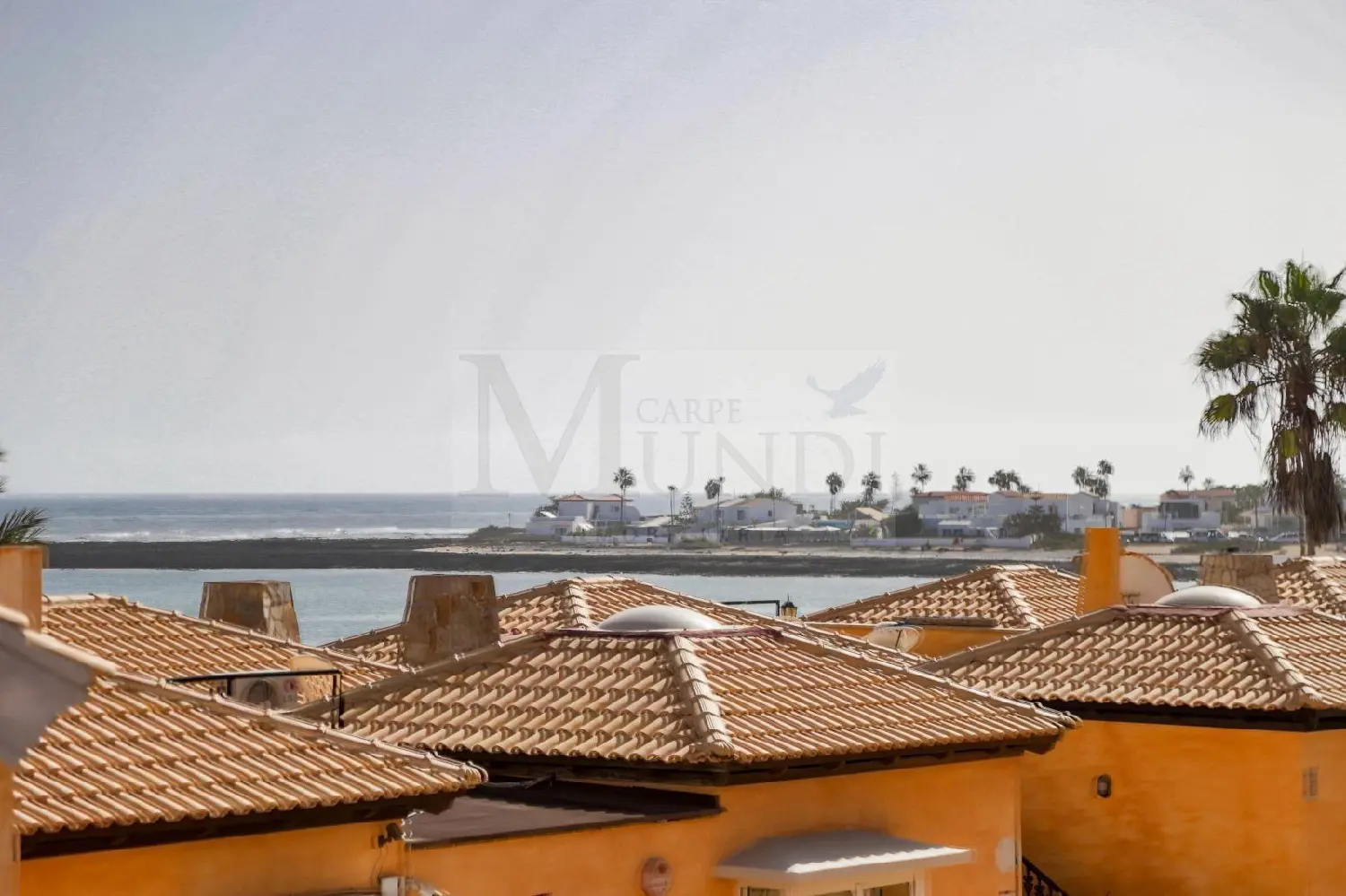  till salu hus Corralejo Oliva (La) 8