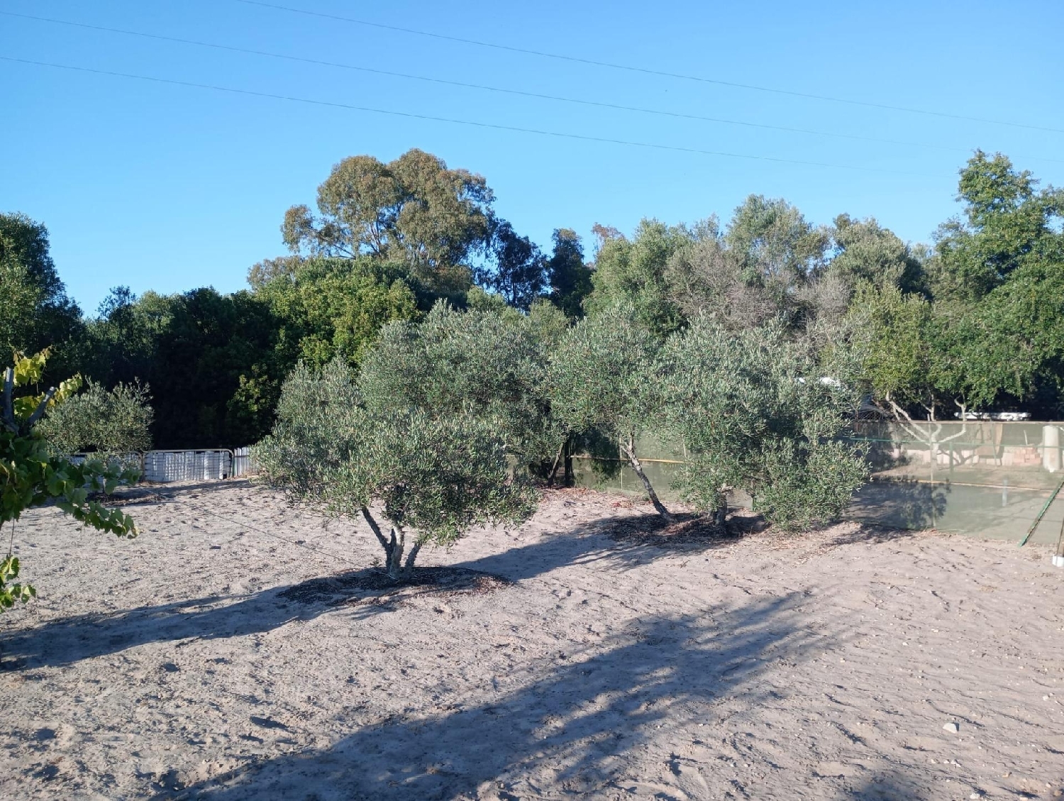  till salu hus Cortadura Bahía De Cádiz 5