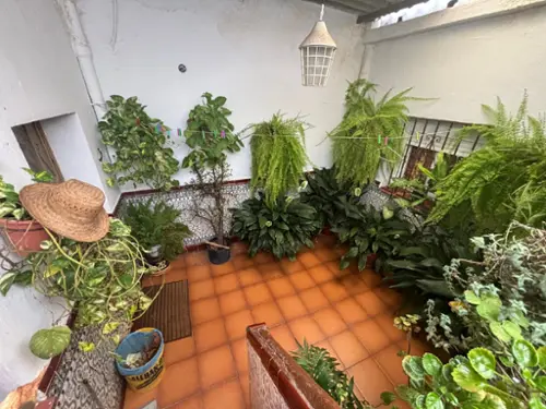 Los Barrios Campo De Gibraltar hus foto 6163942