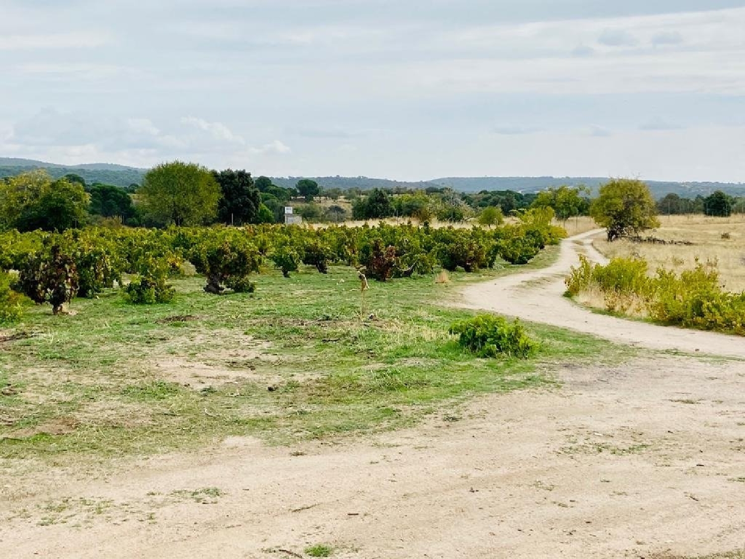 till salu hus Costa De Madrid Sierra Oeste 2